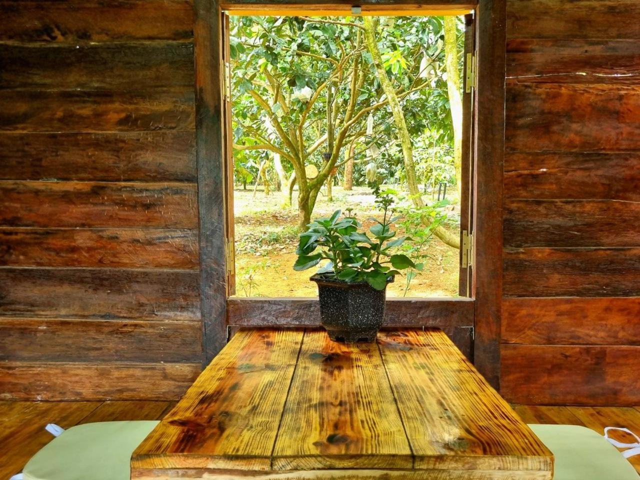 Homestay Vuon Trai Cay Nhiet Doi Vo Uu Garden เบ๋าลอก ภายนอก รูปภาพ