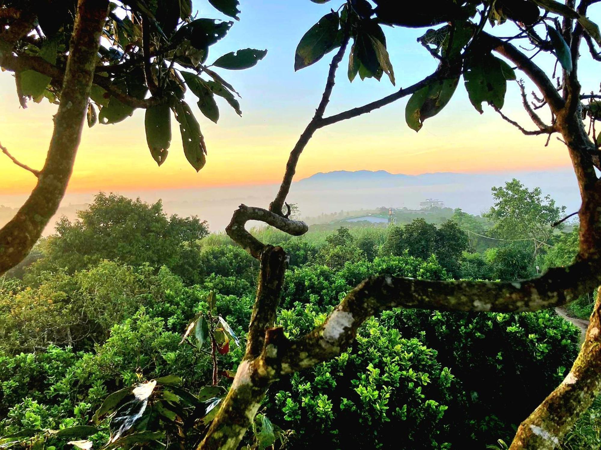 Homestay Vuon Trai Cay Nhiet Doi Vo Uu Garden เบ๋าลอก ภายนอก รูปภาพ