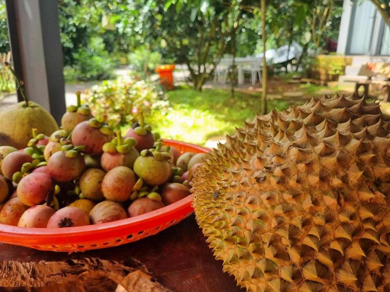 Homestay Vuon Trai Cay Nhiet Doi Vo Uu Garden เบ๋าลอก ภายนอก รูปภาพ