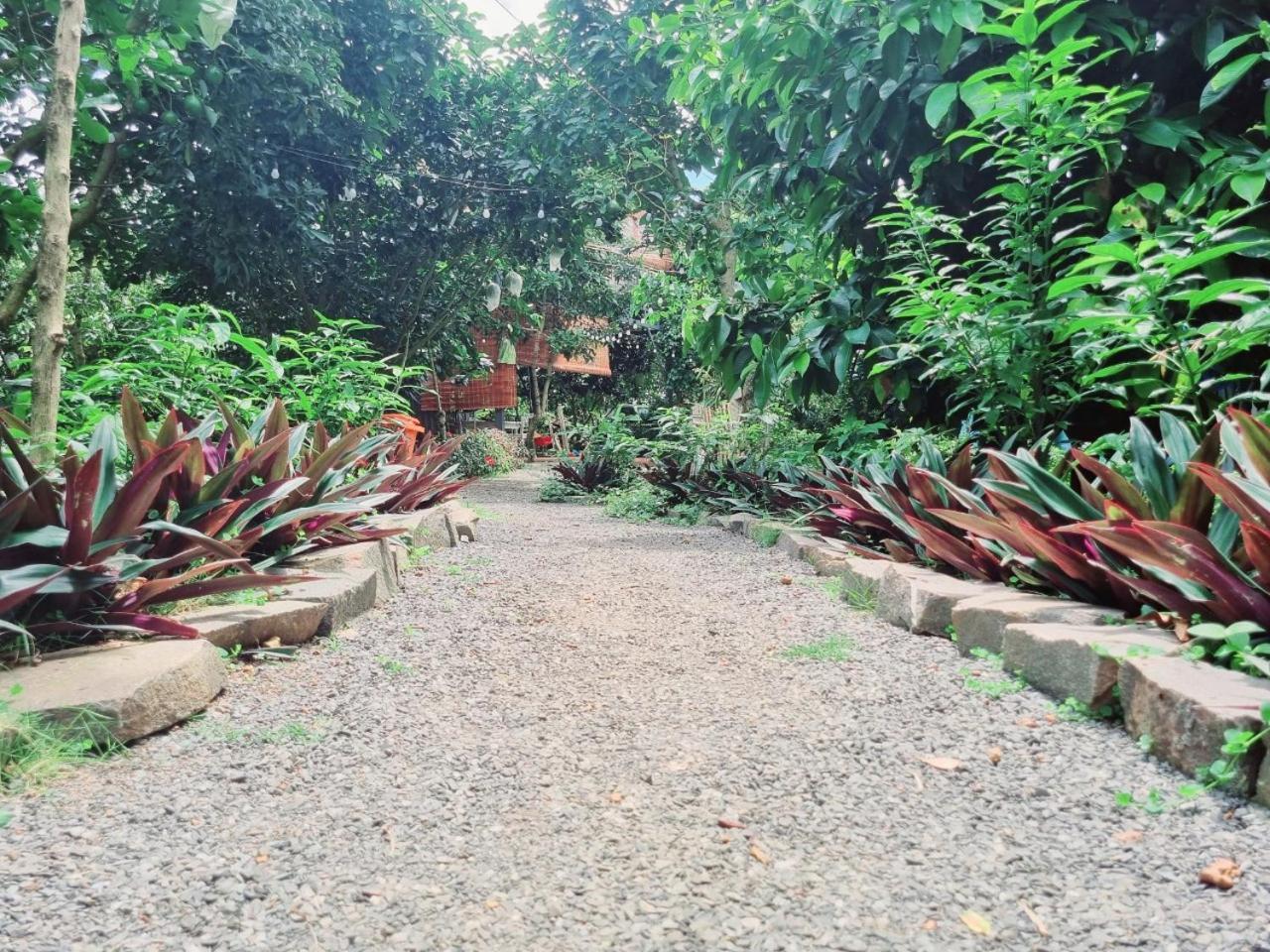 Homestay Vuon Trai Cay Nhiet Doi Vo Uu Garden เบ๋าลอก ภายนอก รูปภาพ