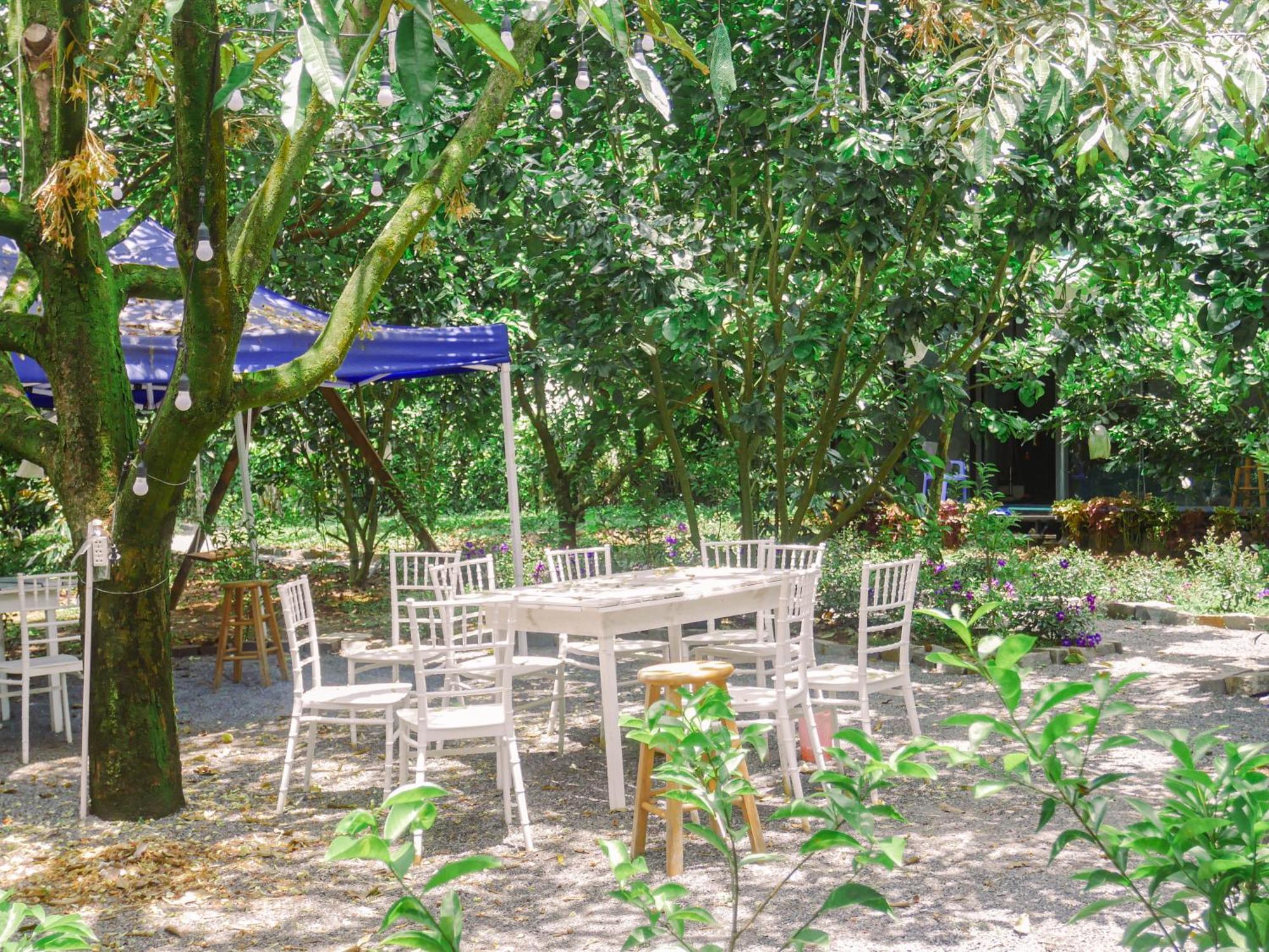 Homestay Vuon Trai Cay Nhiet Doi Vo Uu Garden เบ๋าลอก ภายนอก รูปภาพ