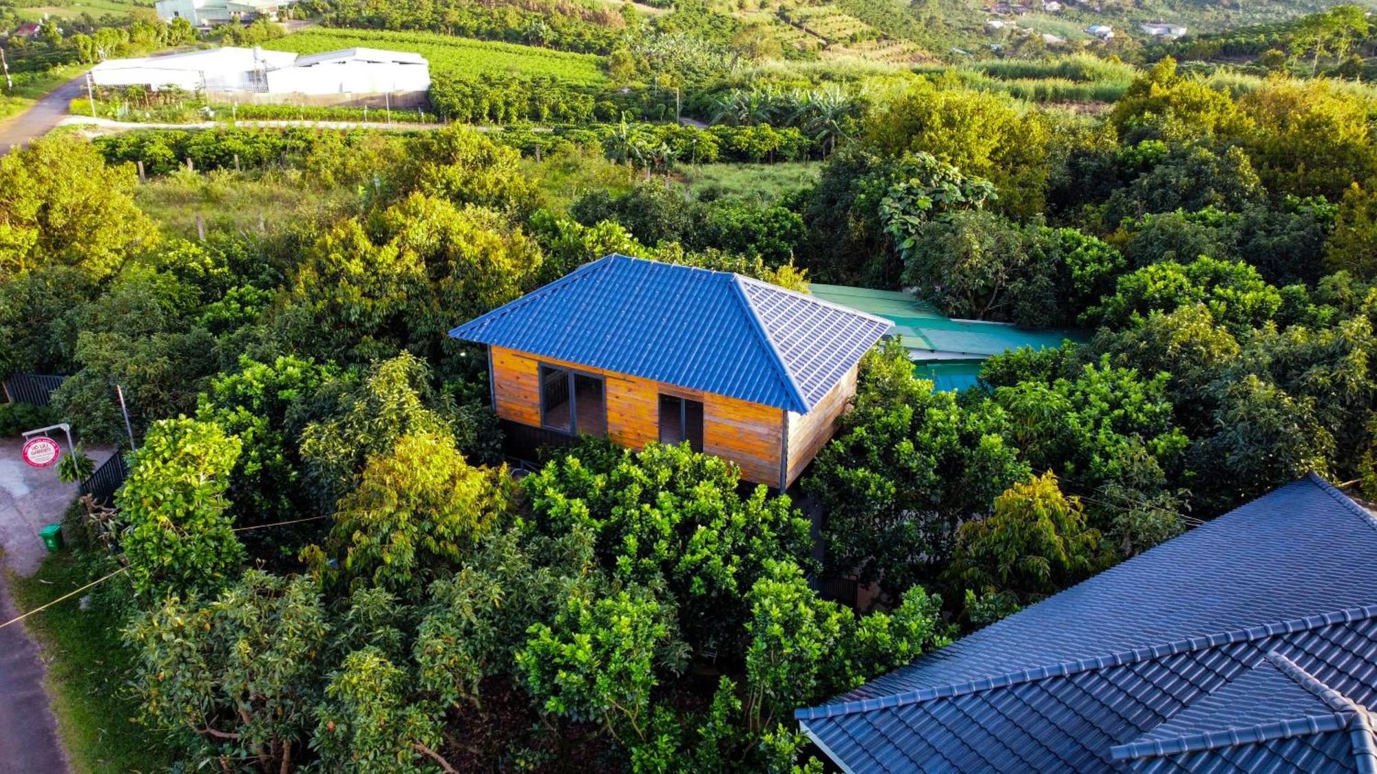 Homestay Vuon Trai Cay Nhiet Doi Vo Uu Garden เบ๋าลอก ภายนอก รูปภาพ